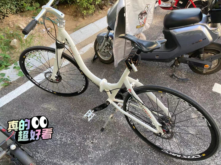 美国prodecotech 折叠车 公路 ...