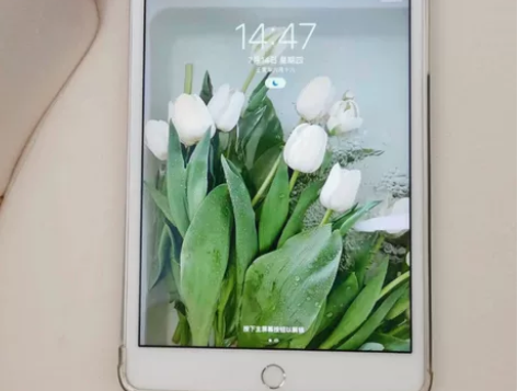 个人一手闲置平板iPad mini4 12...