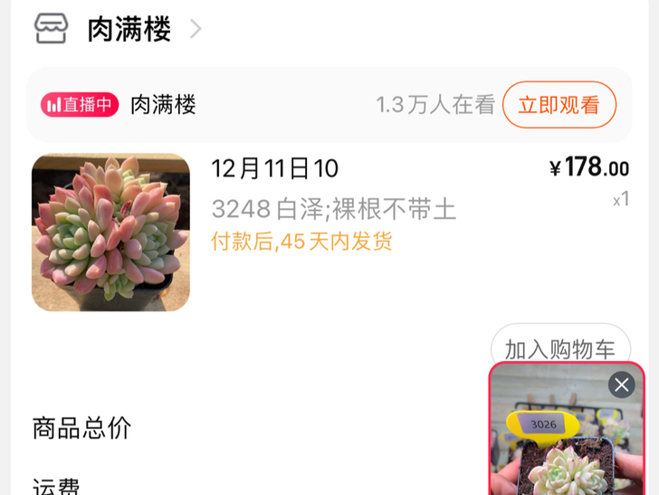 出白天鹅、奶油玫瑰!代拍肉满楼多肉 旺仔 ...