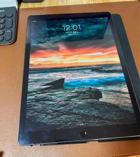 自用ipad pro12.9寸2015款第...