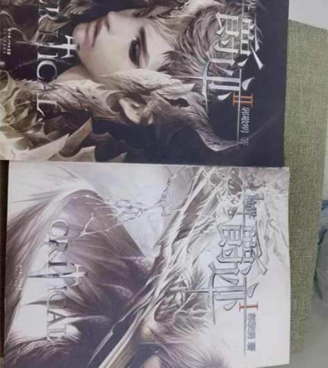 郭敬明的爵迹,打包价20元2本 感兴趣的话...