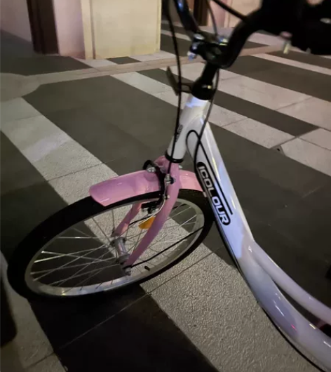 【狂欢价】自行车女士轻便通勤单车普通代步上...
