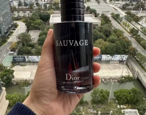 Dior迪奥Sauvage旷野男士香水Di...