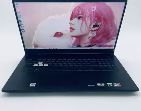 99新Asus/华硕 华硕 天选3  16...