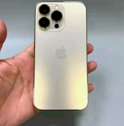 自用手机iPhone 12 Pro Max...