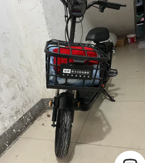 哈喽电动车，哈喽棒途 哈喽电动车出售，车子...