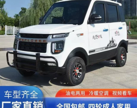 四轮电动车油电两用锂电池家用代步车新能源电...