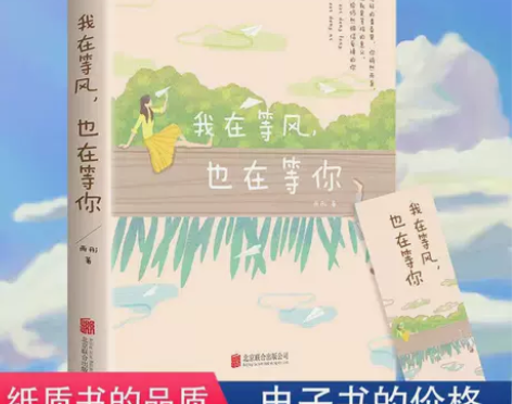 我在等风也在等你 治愈系都市言情青春文学小...