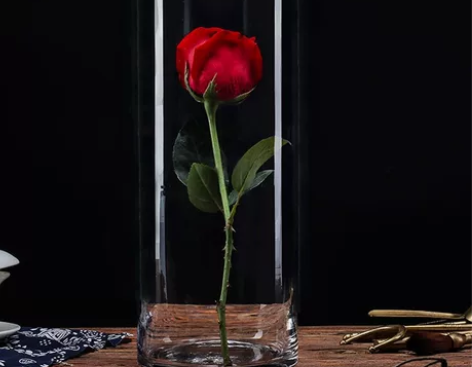 加厚落地花瓶玻璃水养 花瓶摆件客厅 花瓶干...