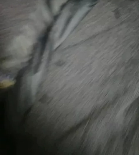 丹德波尔，韩版，男士春秋款西服，含羊毛成分...