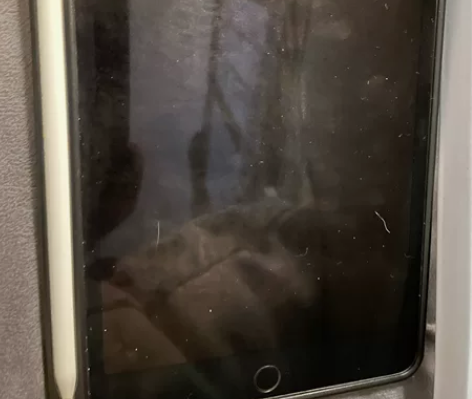 Apple/苹果 iPad mini5 +...