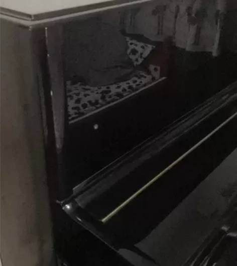 钢琴入手21500,现卖7000 地址北...