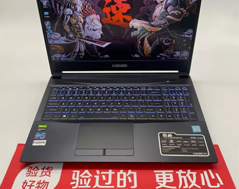 95新Hasee/神舟战神Z7M i5-9...