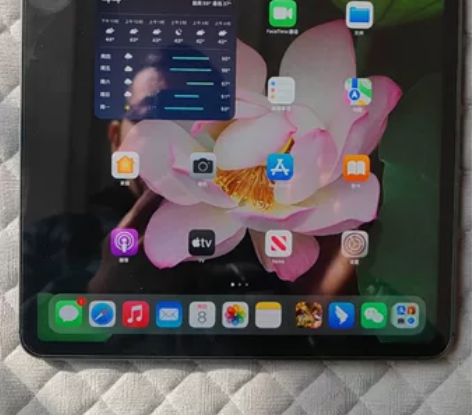 iPad Pro2021款12.9寸256...