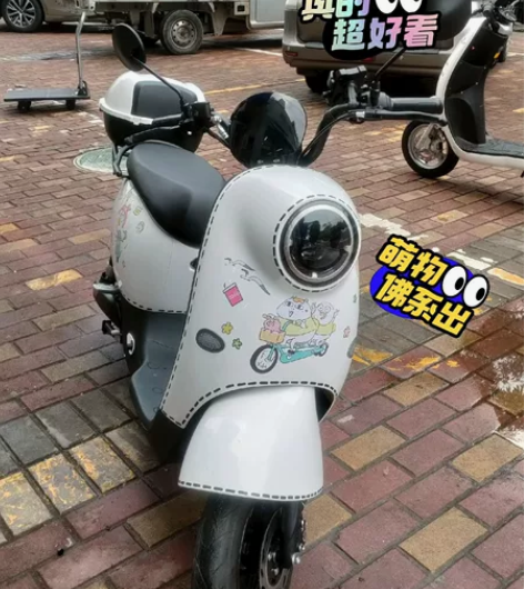 全新台铃萌苏eb出售!裸车价2099装48...