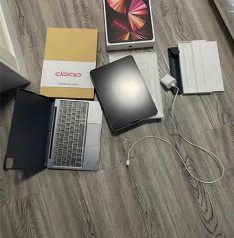 自用apple ipad pro 256 ...
