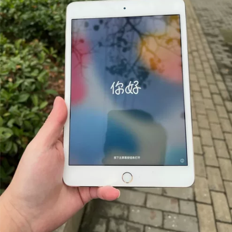 ipadmini4 考研网课游戏追剧 ip...