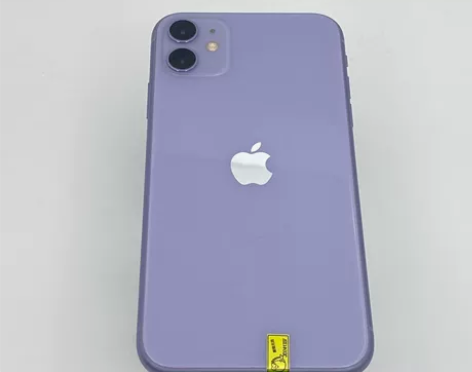 国行 苹果 iPhone 11 64GB ...