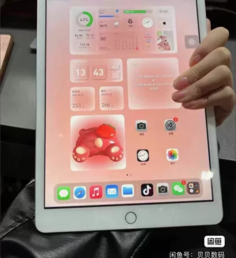iPad 2019款 128gwifi ...