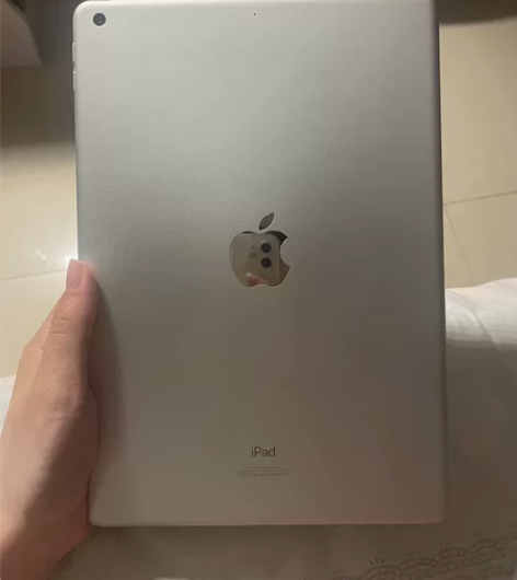 自用iPad 9 国行 64G 银色仅wi...