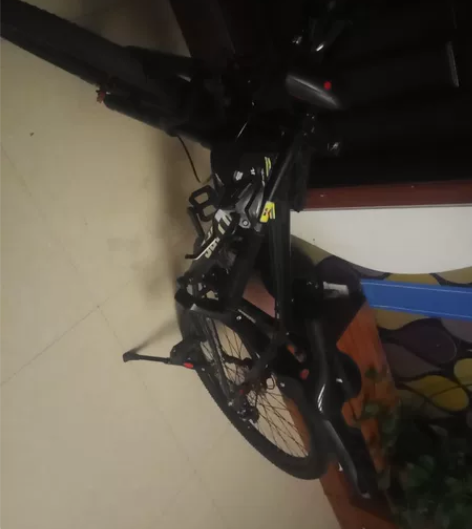菲利普自行车，全新，一点问题也没有，送骑行...