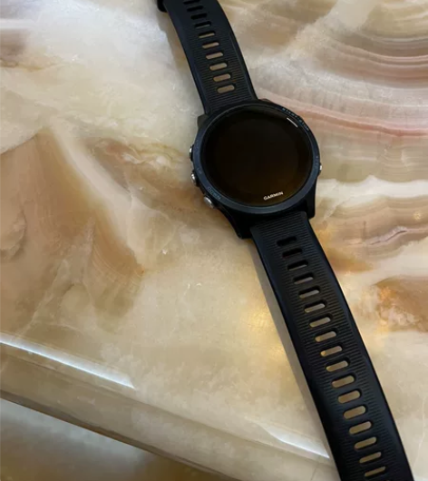 佳明(GARMIN)户外手表 Foreru...