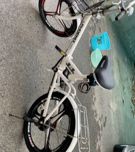 凤凰7挡变速折叠自行车 感兴趣的话点“我想...