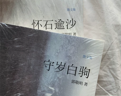 郭敬明 悲伤逆流成河 辛夷坞青春言情小说散...