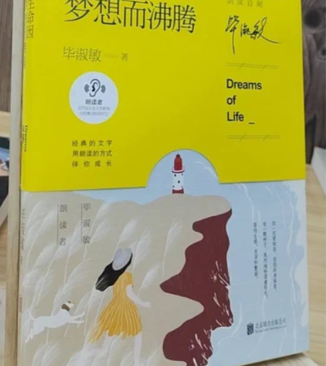 正版二手 生命因梦想而沸腾 毕淑敏 北京联...