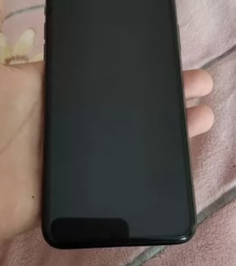 出暗夜绿11pro Max，256g，屏幕...
