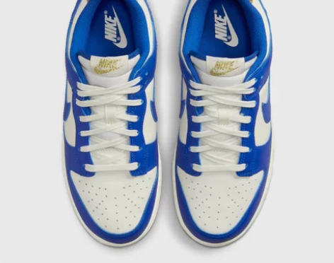 得物Nike DUNK低帮女子运动鞋秋冬新...
