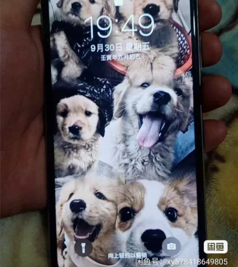 iphone X 国行 64g 白色 无...