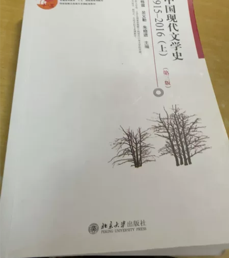 中国现代文学 上册下册 朱栋霖主编 高校文...