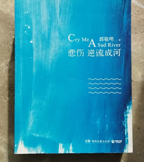 图书 悲伤逆流成河 郭敬明著 9成新 感兴...
