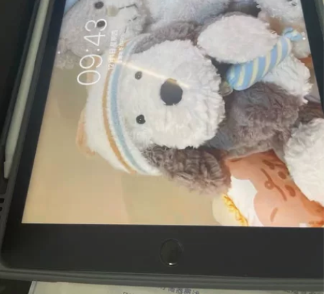 自用ipad 第九代2021款 刚激活几个...