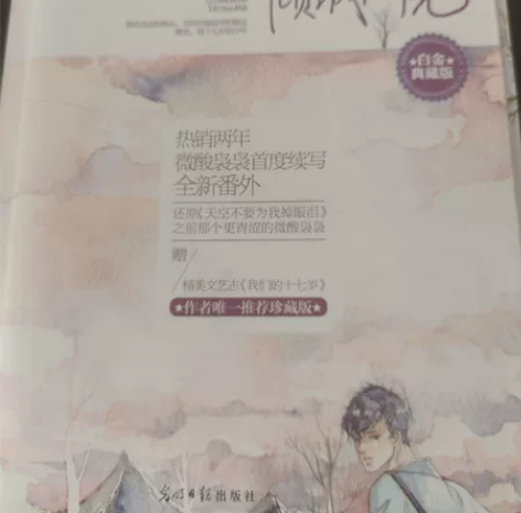 青春文学小说/言情小说 高中时买的言情小说...