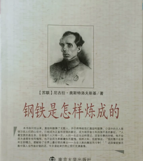 钢铁是怎样炼成的 尼古拉●奥斯特洛夫斯基/...