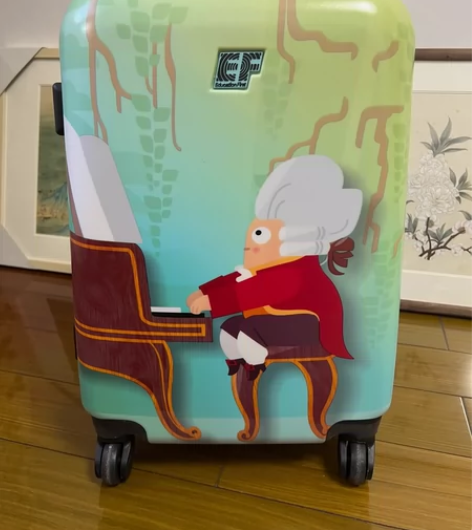 20寸旅行箱 拉杆箱 全新 万向轮 感兴趣...