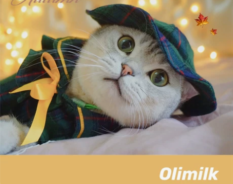 【Olimilk】英伦小学妹~学院风宠物猫...