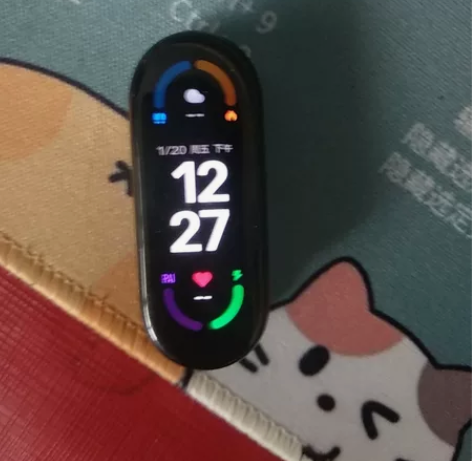 小米手环6 还有个自己买的表带,送充电器9...