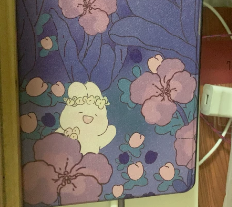ipad 2021 10.2英寸 9代 柳...