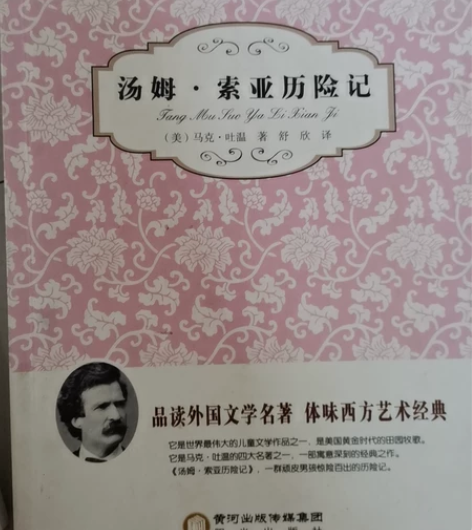 汤姆索亚历险记 儿童读物 外国文学名著 马...