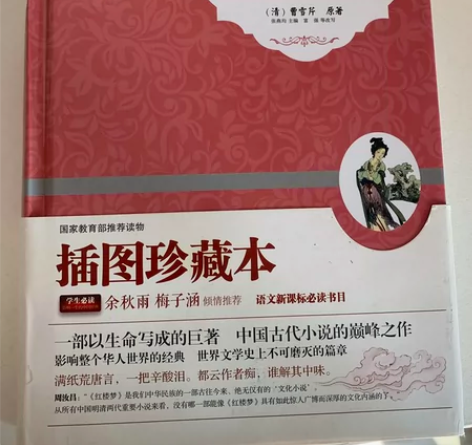 红楼梦 (青少版)余秋雨梅子涵 中小学生课...