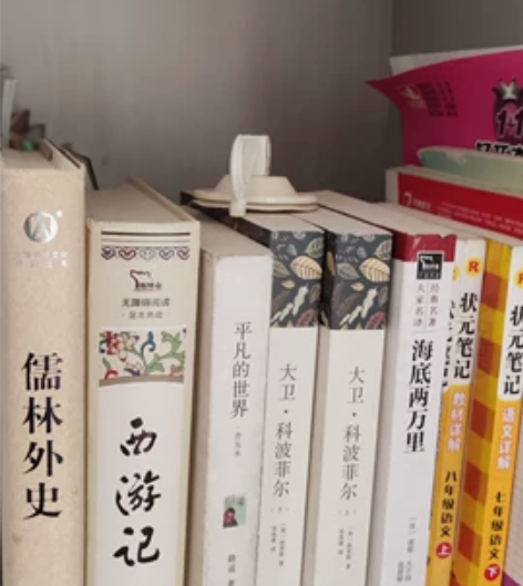 全新的名著无损 西游记 儒林外史 大卫...