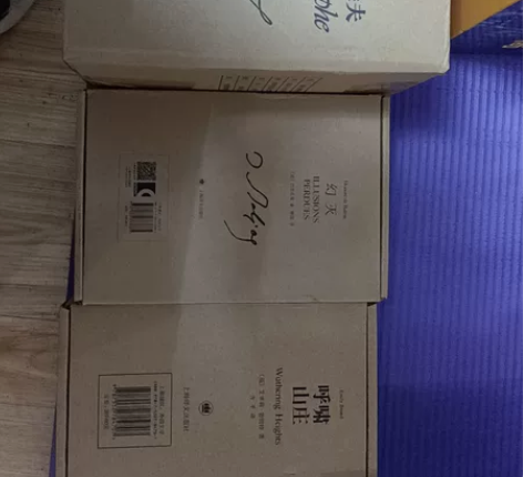 约翰克利斯朵夫插图珍藏版幻灭插图珍藏版呼啸...