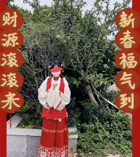 茗月萱【如意】汉服女明制比甲立领马面裙拜年...