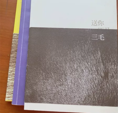 三毛 送你一匹马 梦里花落知多少 千山万水...