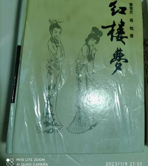 红楼梦+水浒全传 两本40