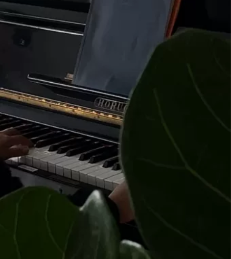 捡漏吧！HORUGEL钢琴  老古董，可当...