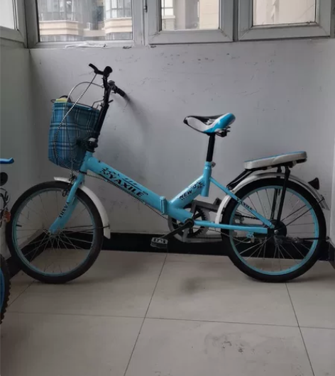 20寸折叠自行车,胎毛还在没咋骑,大人小孩...